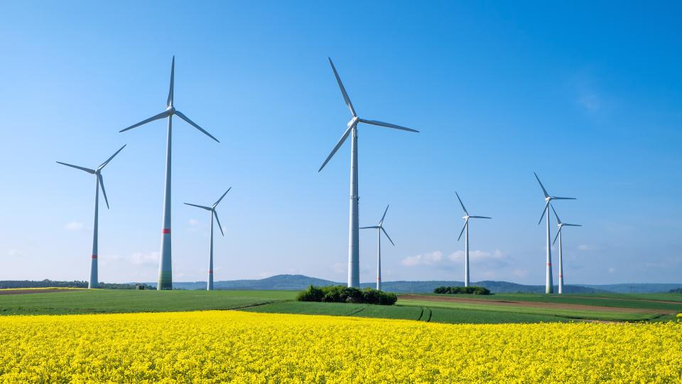 Windpark auf Feldern